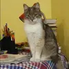 Отзыв от Лада Кулагина